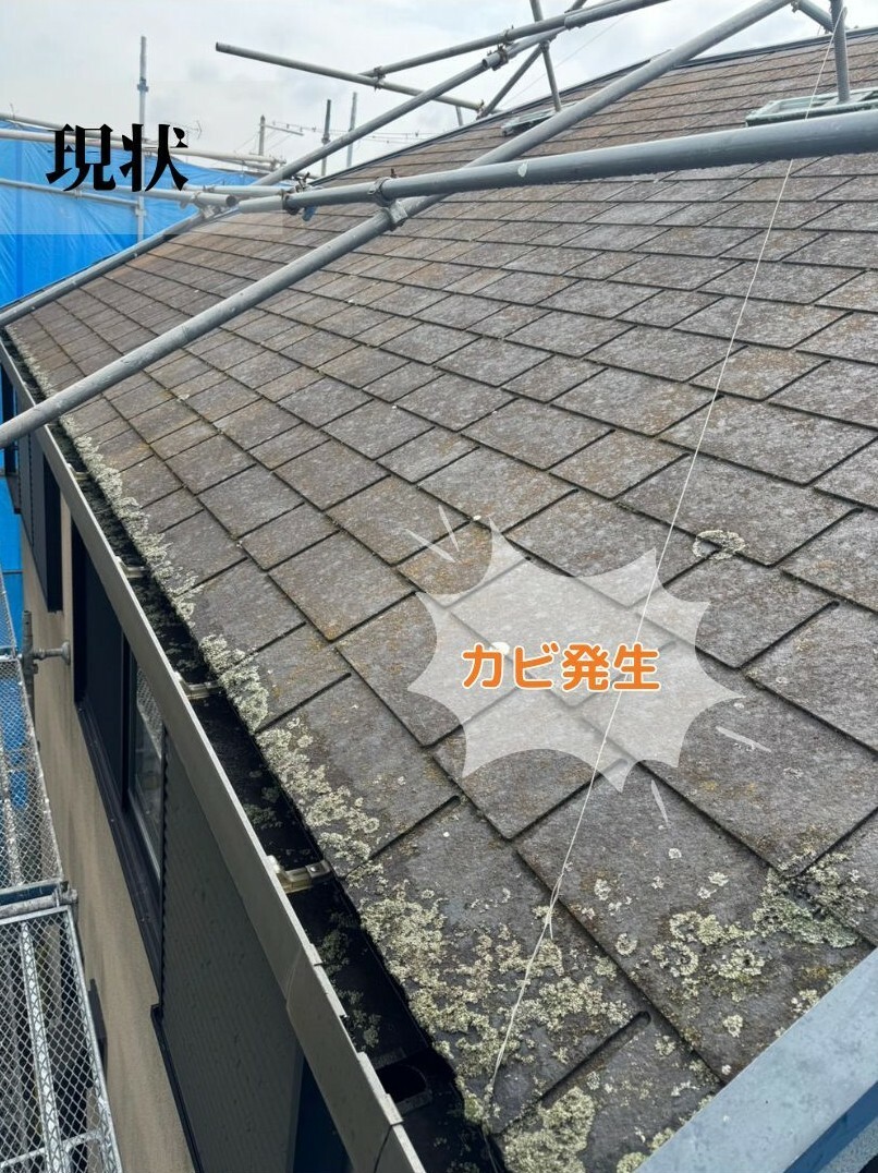 おかちゃんペイント 外壁塗装 屋根塗装 屋根工事 防水工事 神戸市 明石市 地域密着 塗装 外観 塗装前 ビフォー 現地調査