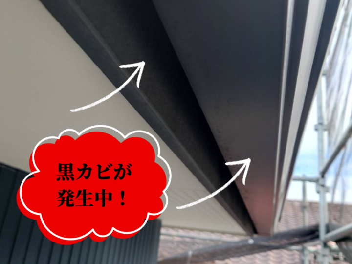 鼻隠し　塗装　付帯部　黒カビ　劣化