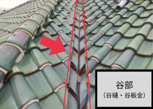 谷部