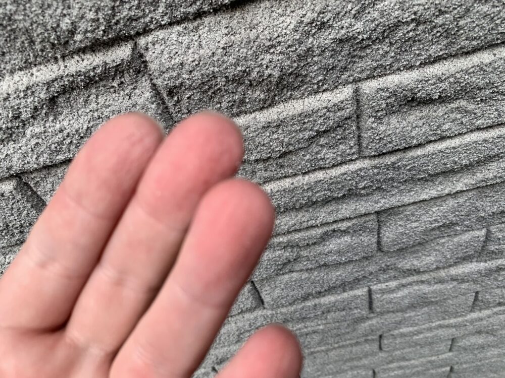 【現地調査時の外壁のようす】
