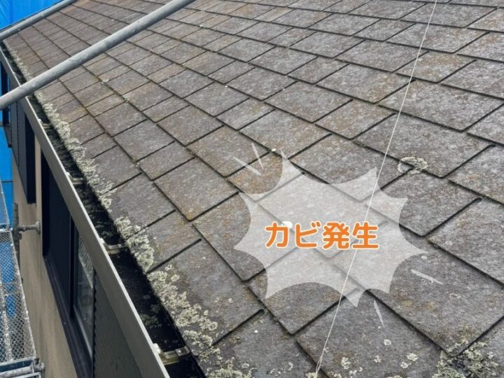 おかちゃんペイント 外壁塗装 屋根塗装 屋根工事 防水工事 神戸市 明石市 地域密着 塗装 外観 塗装前 ビフォー 現地調査