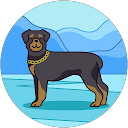 tここあ profile picture