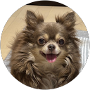 あき profile picture