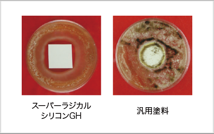 外壁用塗装　スーパ−ラジカルシリコンGH　アステックペイント　防カビ・防藻性