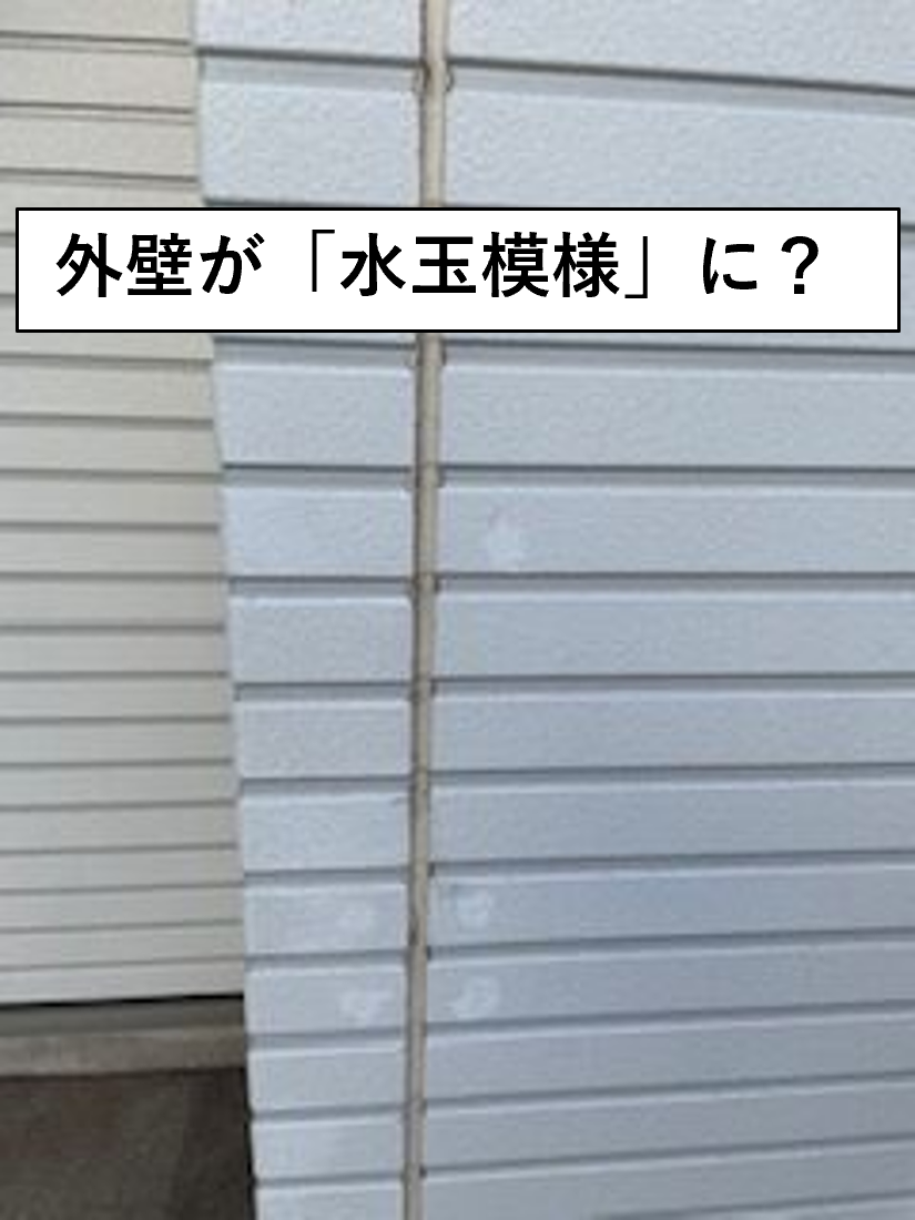 外壁　水玉
