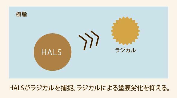 ラジカル HALS 塗膜劣化　樹脂