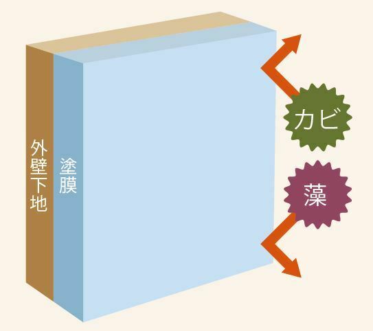 外壁下地　塗膜　カビ　藻